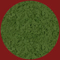 Solid Colour PVA Flake - 5910 Green Flake