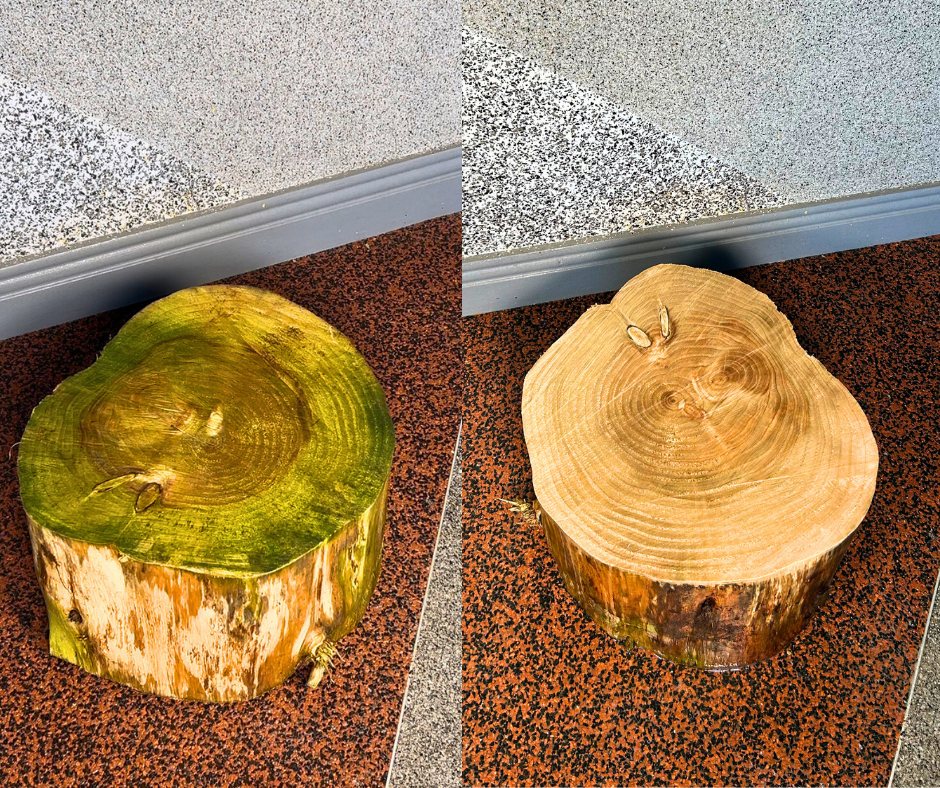 PremRes Pro Surface Cleaner